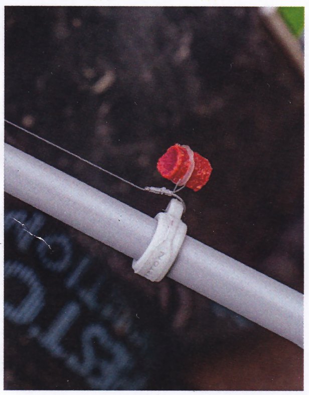 PRESTON INNOVATIONS RIG HOOK UPS