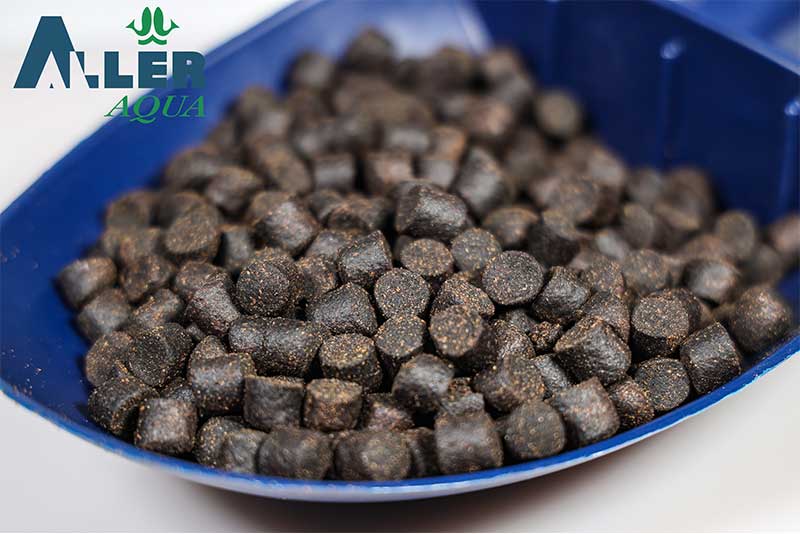 High Protein Fish Bait