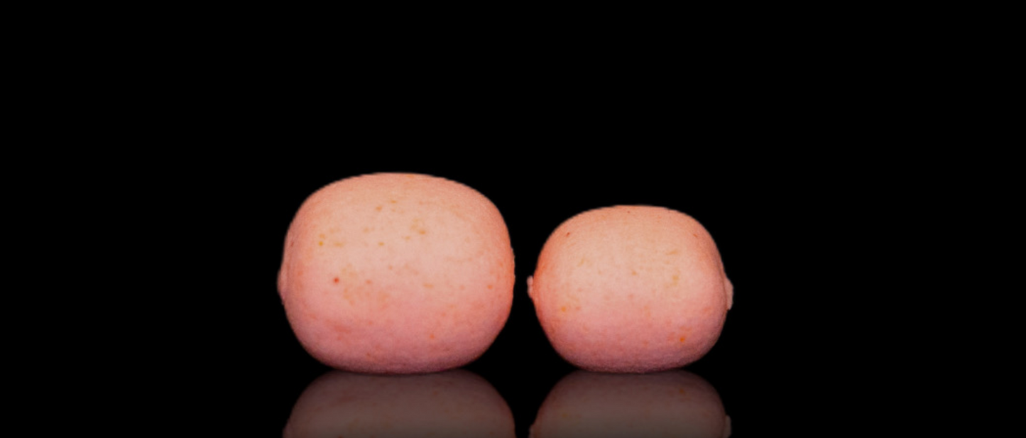 Elevate Baits Super Squid pillows 10mm & 12mm Pop Up Pillows