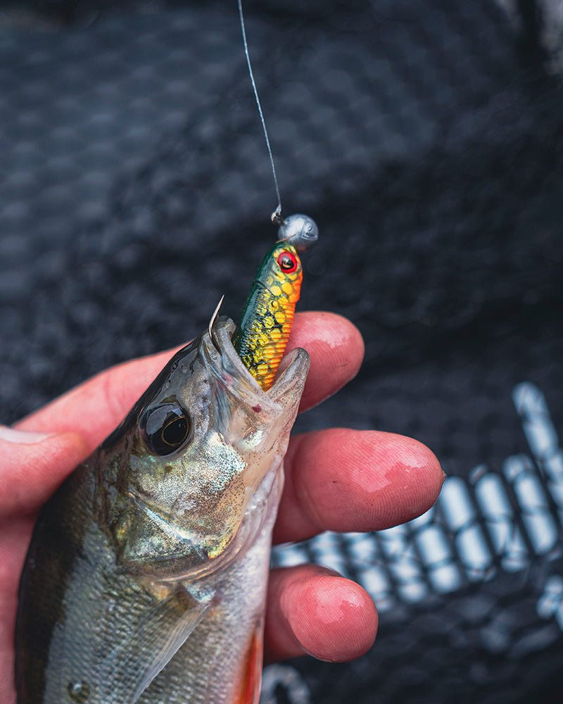 Fox Rage Mini Tiddler Mixed CP L