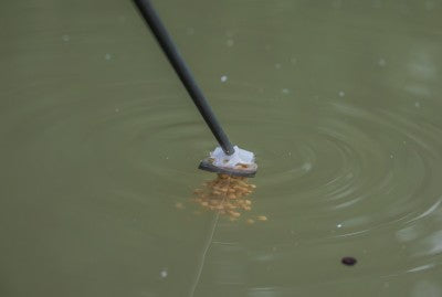 Guru Fast Release Pole Pots All Sizes