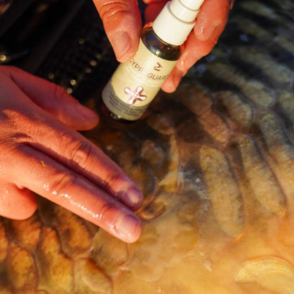 OMC Cyproguard Fish Care