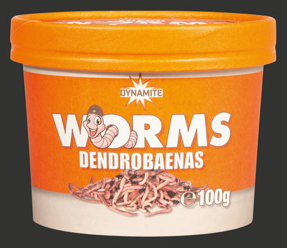 DYNAMITE BAIT WORM RANGE DENDROBEANAS