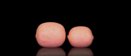 Elevate Baits Super Squid pillows 10mm & 12mm Pop Up Pillows