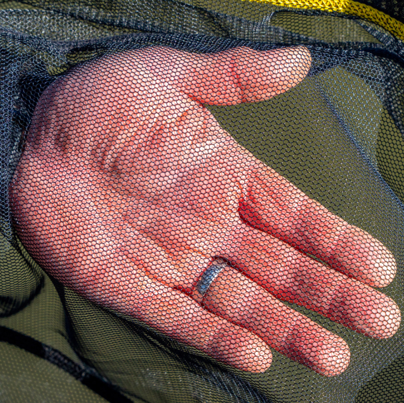 NuFish Dead Pan Landing Net 18" 20"