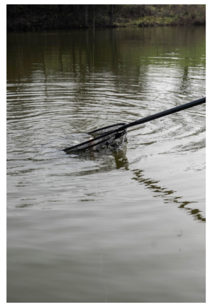 Preston Innovations Carbon Free Flow Landing Net