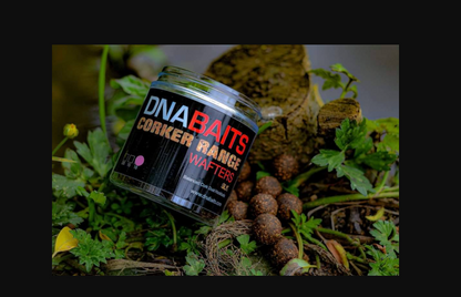 DNA Baits SLK Corker Dumbell Wafters