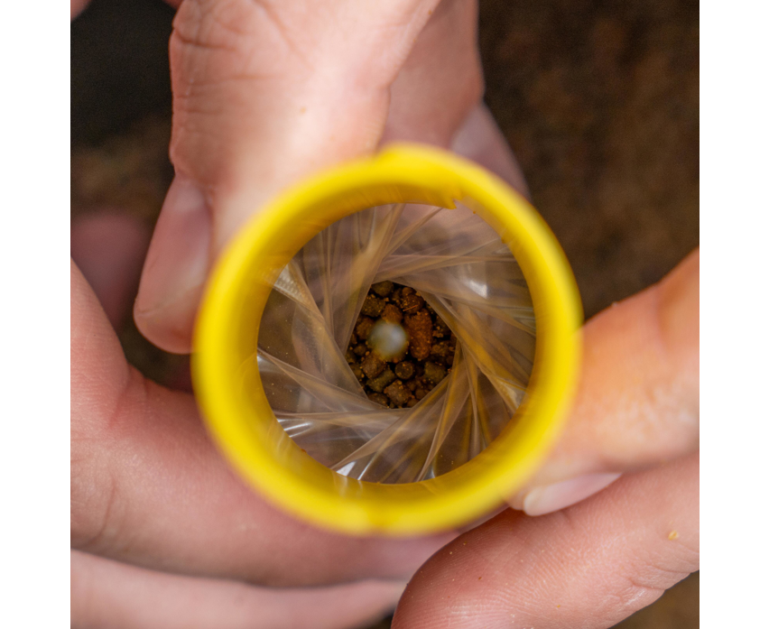 Avid Transfer Solid Bag System Loaders