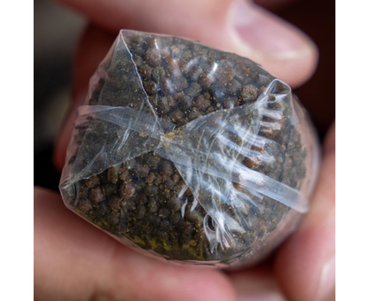 Avid Transfer Solid PVA Bags