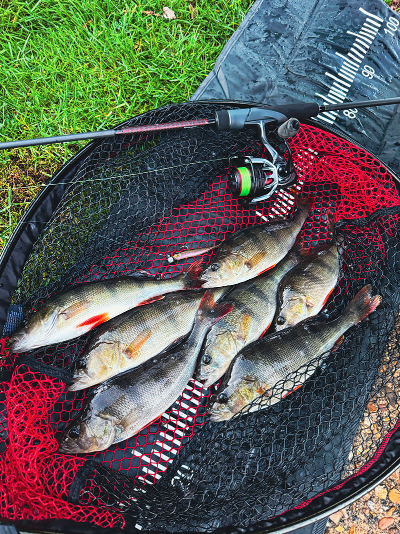 Fox Rage Mini Tiddler Mixed CP L