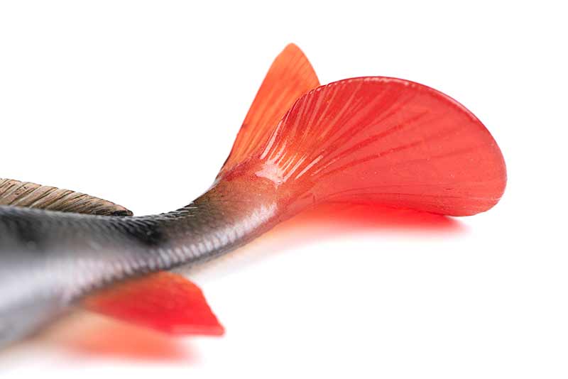 Fox Rage Ultra Realistic Perch Replicant