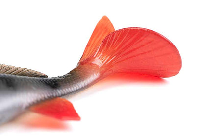 Fox Rage Ultra Realistic Perch Replicant