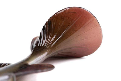 Fox Rage Ultra Realistic Pike Replicant