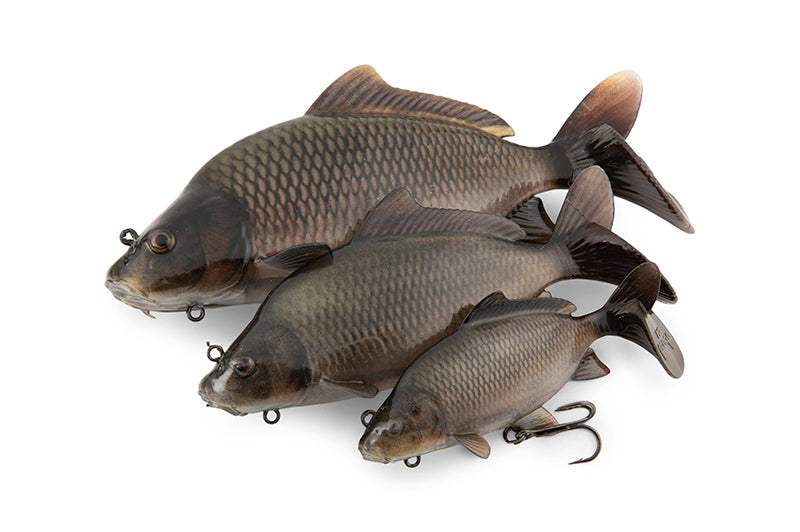 Fox Rage Ultra-Realistic Common Carp Replicant