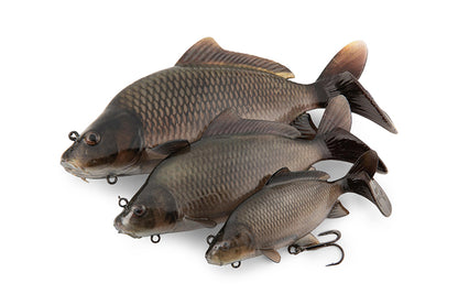 Fox Rage Ultra-Realistic Common Carp Replicant