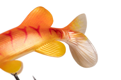 Fox Rage Ultra Real Rep Pike Golden