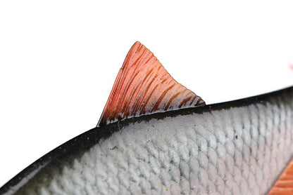 Fox Rage Realistic Roach Replicant