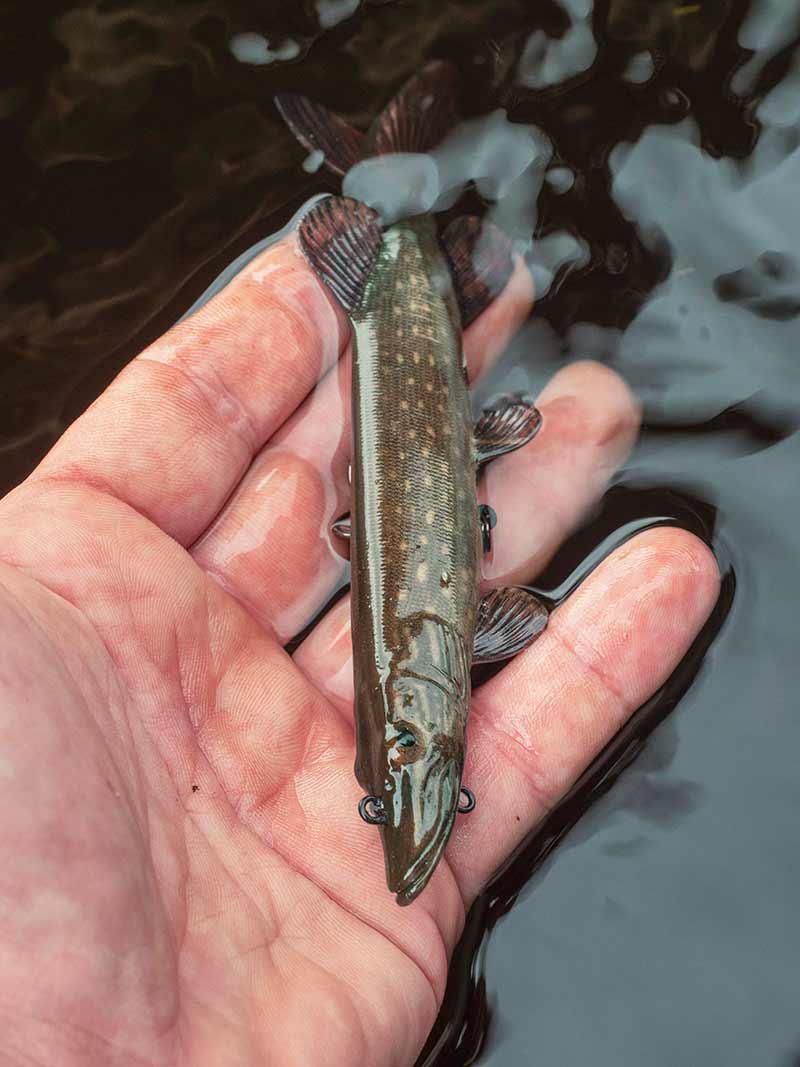 Fox Rage Ultra Realistic Pike Replicant