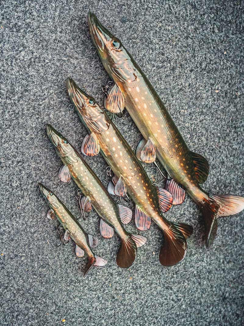 Fox Rage Ultra Realistic Pike Replicant